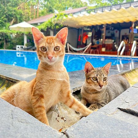 Have Fun Phu Quoc Villa Exteriör bild