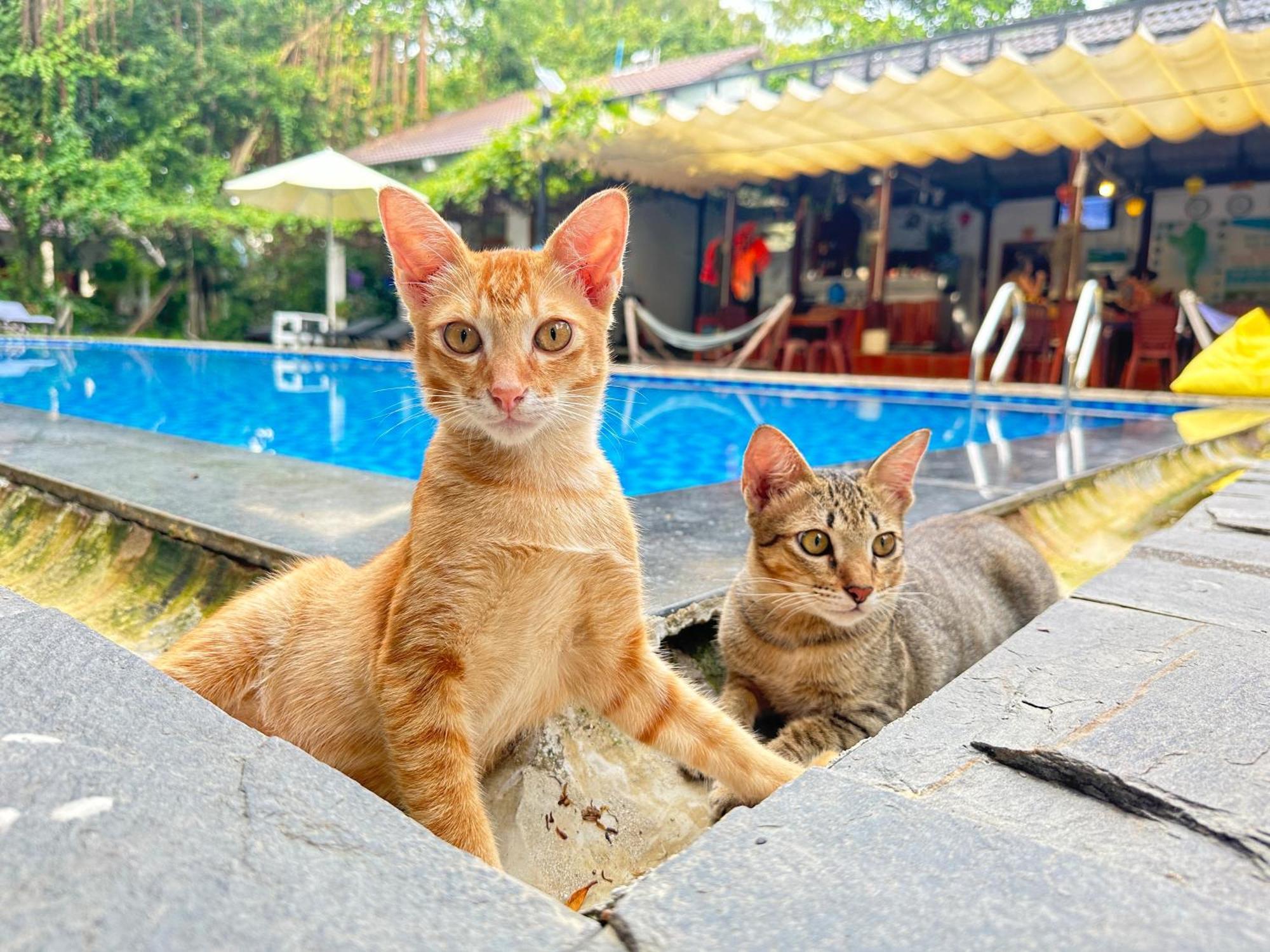 Have Fun Phu Quoc Villa Exteriör bild